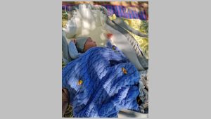 2024 Armand magab.jpeg